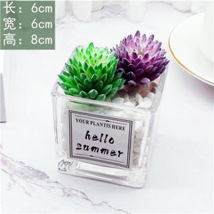 Ins Simulation Fleshy Cactus Creative Potted Plant Decoration Decoration Green Plant Fake Flower Office Desktop Small Ornaments