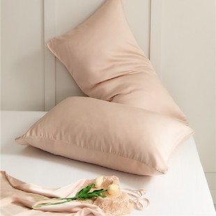 Tencel Pillow Case Pair Household Tencel Pillow Case Pink Solid Color High-grade Ice Silk Pillow Inner Pillow Case Summer