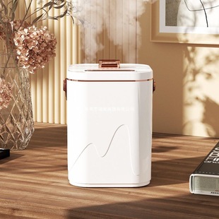 Humidifier wholesale office household usb large spray double spray mini desktop air purification humidification night light gift