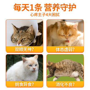 Cat Strips Cat Snacks Licking Strips 15g*6 Pieces/Bag Cat Wet Food Nutritional Meat Puree Fattening Hair Cheeks Cat Snacks Wholesale