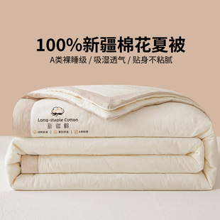 Class A 100 Xinjiang cotton cotton summer quilt cotton summer cool quilt air conditioning quilt cotton quilt machine washable student dormitory