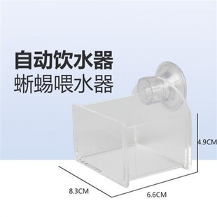 Reptile Food Basin Land Turtle Box Water Basin Climbing Pet Box Food Plate Lizard Horned Frog Shougong Feeding Box Pet Drinking Plate Wholesale