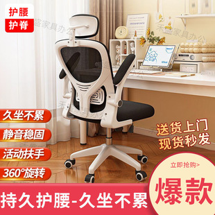 Computer Chair Home Office Lifting Swivel Chair E-Sports Chair Backrest Chair Home Comfortable Desk Stool Student Chair