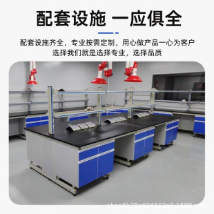 Custom Steel Wood Experiment Bench Stainless Steel Pp Sink Bench Laboratory All Steel Experiment Bench School Physics Chua Ban Work