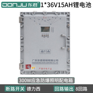 Dongjun Intelligent Fire Emergency Centralized Control System Power Centralized Control Emergency Lighting Evacuation System Power Box