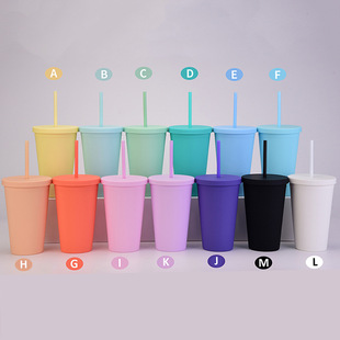 Cross-Border Candy-Colored Double-Layer Plastic Straw Cup Customized 16oz Drinking Cup Simple Plastic Frosted Cup