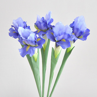 Single Irish artificial flower home living room soft decoration fresh floral arrangement flat bamboo flower fake flower single head iris flower