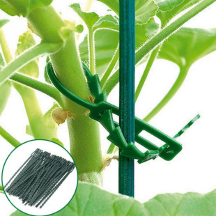50 multi-purpose green garden ties plant ties gardening Fishbone ties cross-border supply