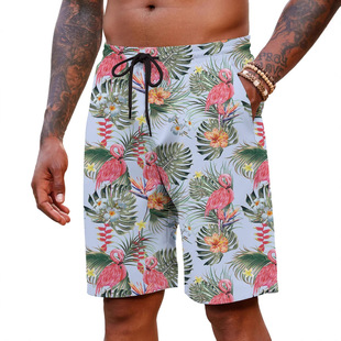 Men's Printed Trendy Brand Loose Style Casual 3D Hawaii Seaside Cross-border European and American Beach Pants Shorts Summer