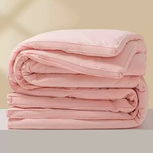 Class A soybean fiber quilt single double thickened winter quilt student fresh printed quilt core dormitory Four Seasons quilt
