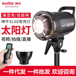 Shenniu godox SL60W LED always bright fill light continuous live studio photo light solar light soft white light