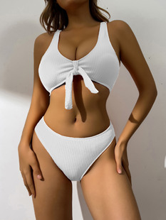 Cross-border 2025 New European and American Women's Bikini Split Swimsuit Special Fabric Solid Color Multicolor Swimsuit Wholesale