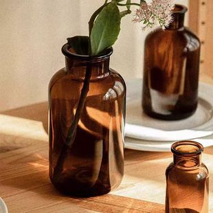 European-style glass small brown bottle ins style retro transparent home living room flower arrangement creative hydroponic ornaments wholesale