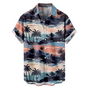 Cross-border Foreign Trade New Hawaiian Style Printed Trendy Loose Short-sleeved Shirt Men's Summer Top