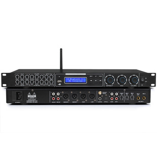 Imported high-end front-level effect professional karaoke KTV home mixing karaoke balanced front tuning accompaniment