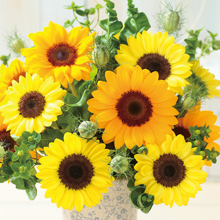 Vincent Sunflower Seeds Ornamental Cut Flowers Edible Sunflower Seeds Outdoor Easy to Grow Balcony Courtyard Potted Plants