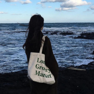 2024 in stock canvas bag lazy style one-shoulder commuter women's class large capacity Japanese and Korean artistic canvas bag wholesale