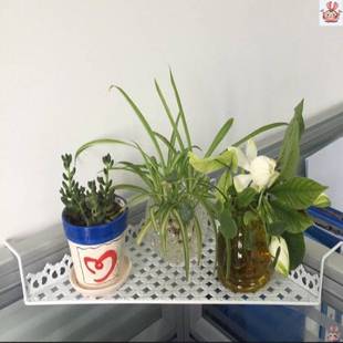 Office Table Hanger Storage Finishing Storage Rack Potted Plant Desktop Station Plant Green Basket Flower Rack Office Supplies Stationery