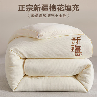 Warm Spring and Autumn Quilt Four Seasons Universal Dormitory Xinjiang Cotton Thickened Single Winter Quilt Quilt Core Quilt Bean Sha Powder