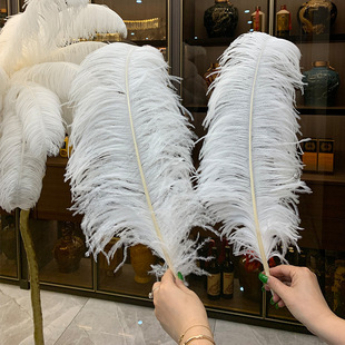 Wide thick rod white ostrich feather 40-80cm decorative material handmade diy clothing accessories ostrich feather wholesale