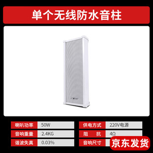 SAST (SAST) D1 Store Audio Bluetooth Ceiling Ceiling Embedded Commercial Wireless Wall-mounted Wall Speaker