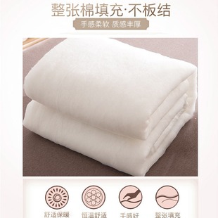 Custom hotel quilt core pure cotton anti-feather cloth winter quilt whole feather velvet four seasons quilt silk quilt size custom