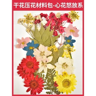 Leaves Specimen Plastic Film Dried Flower Bookmark Handmade DIY Material Production Kindergarten Students Children Creative Stickers