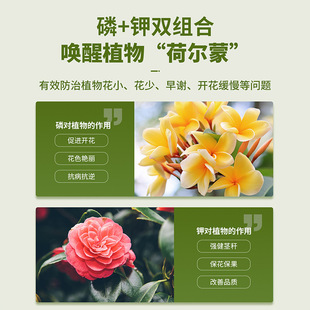 Quick open pollen bottled flower pot universal gardening fertilizer special manufacturer for promoting peanut root flowering fertilizer