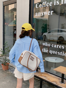 Korean Style Blue Striped Long-sleeved Shirt Women's Spring and Autumn 2024 New Loose Design Sense Shirt Contrast Color Coat Top