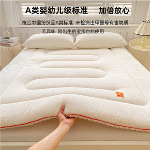 Thickened Warm Arctic Fleece Mattress Upholstery Household Mattress Winter Bedroom Mat Tatami Student Dormitory Single Person