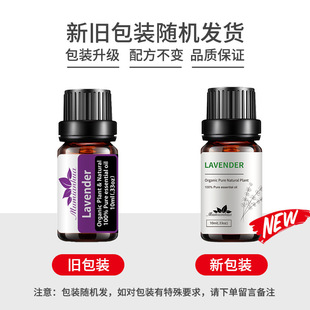 Rose Essential Oil Massage Essential Oil Cross-Border Export Fragrance Aromatherapy Mugwort Essential Oil Fruity Woody Fragrance Wholesale 10ml Sample