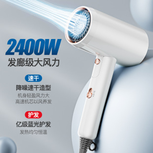 Cross-border High-speed Hair Dryer Household High-power Dormitory Hair Salon Hair Dryer Cold and Hot Wind Negative Ion Hair Dryer