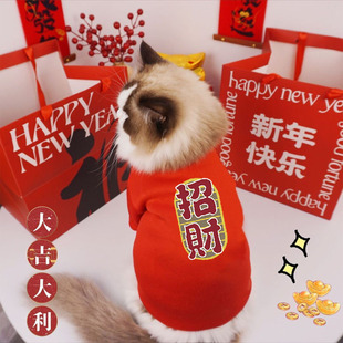Autumn and Winter fleece-lined Super Pet Two-legged Clothes Teddy Cat English Short Bitter Bear Puppet Dog Cat Universal Clothes