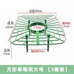 Strawberry Vine Press Strawberry Seedling Clip Seedling U-shaped Vine Planter Plastic Fixed Fork Strawberry Net Bagging