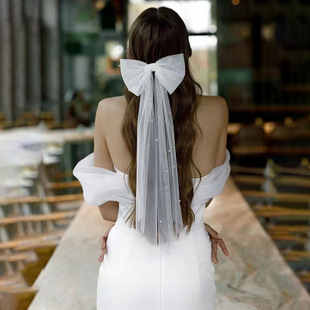 Veil headdress bride's main wedding dress marriage proposal license registration photo props white wedding small light short girls children