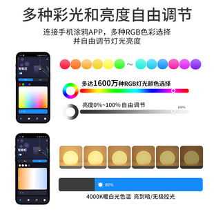 Graffiti smart APP night light bedside atmosphere timing dimming table lamp headlamp voice WIFI smart home light