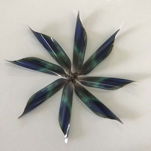 Dikute COTO reverse spiral arrow feather roll feather DIY spiral feather recurve bow competitive bow and arrow shooting quasi spiral feather