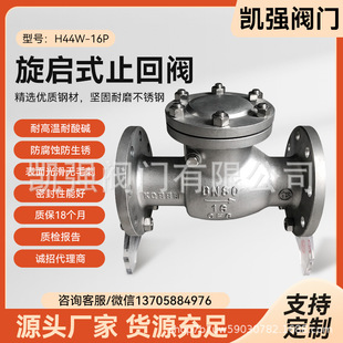 Stainless Steel Flange Rotary CHeck Valve H44W-16P Stainless Steel CHemical CHeck Valve HigH TemPerature and Wear Resistant