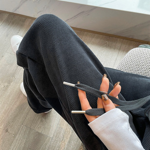 Cross-border supply generation hair velvet wide-leg pants women's spring autumn and winter New chenille mop casual pants velvet straight pants