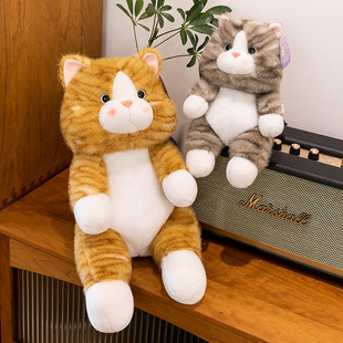 Foreign Trade Cat Doll Orange Juice Kitten Plush Toy Grasping Machine Doll Children and Girls Sleeping Pillow