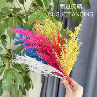 Branchlets Plant Flower Material Wholesale Eternal Melaleuca Gold Natural Dried Flower Eternal Melaleuca Gold Northern European Wind diy Flower Material
