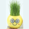 Office Decoration Toy Desktop Long Grass Head Doll Potted Plant Cool Expression Negative Ion Mini Planting