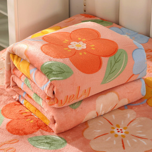 No lint coral fleece bed sheet milk fleece fleece-lined thickened double-sided coral fleece mattress single fleece-lined warm blanket