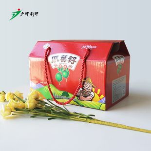 Nut Gift Box, Satchel Color Box, Mountain Goods Carton, Agricultural and Sideline Specialty Packaging Box, Roof Color Box, Holiday Snack Gift Package