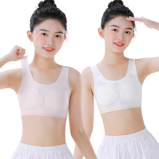 Girls' Underwear Development Stage Primary School Students Junior High School Students Stage One Girls Big Children Small Vest Children Bra Girls Summer