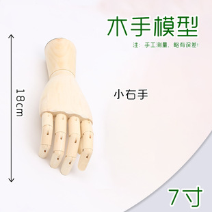 Art still life copying sketch sketch 12 inch wooden finger joint cartoon model tool ornaments puppet hand