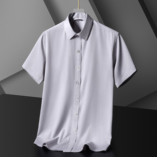 Short-sleeved Shirt Men's High-end Sense High-end Business Dress Half-sleeved Shirt Non-ironing Anti-wrinkle White Shirt Long-sleeved Men's