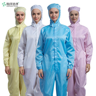 Pharmaceutical Factory Work Clothes Clean Clothes One-piece Anti-static Work Clothes High Temperature Sterilization Full Body Dust-free Workshop Dust-proof Clothes