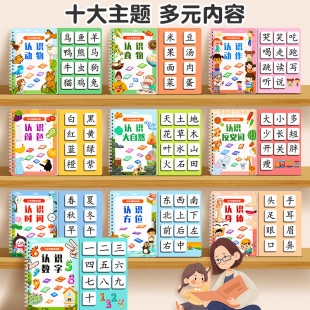 Literacy Book for Children to Recognize Words, Enlightenment, Early Education, Quiet Book, Children's Cards, Full Set of Infant Kindergarten Baby Cognition