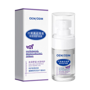 Customized Lutein Eye Protection Spray Relives Eye Fatigue Dry Eye Moisturizing Eye Protection Spray OEM